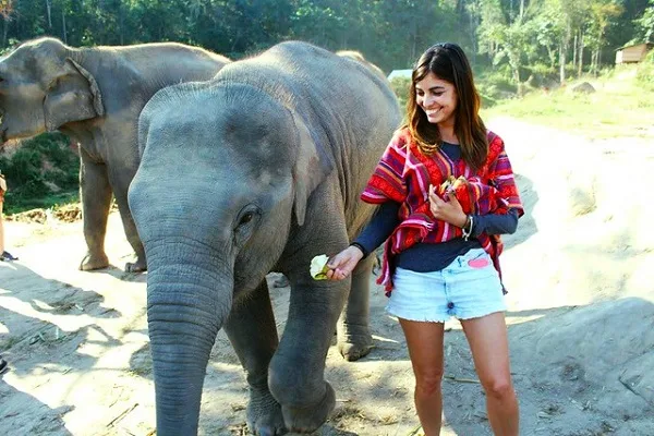 Kanta Elephant Sanctuary