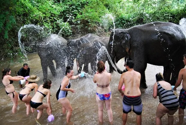 Chiang Mai Kanta Elephant Sanctuary