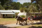 Churchill Island Heritage Farm