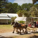 Churchill Island Heritage Farm