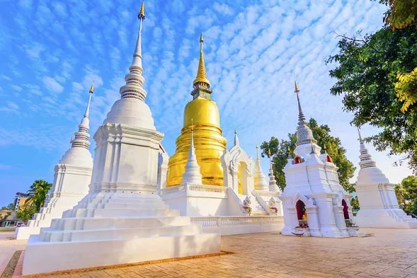 Wat Suan Dok temple tour in Chiang mai