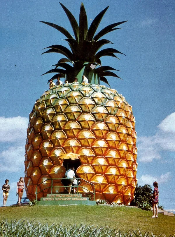 The Big Pineapple tourist attraction in Queensland