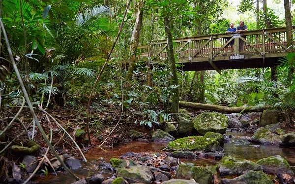 Daintree National Park